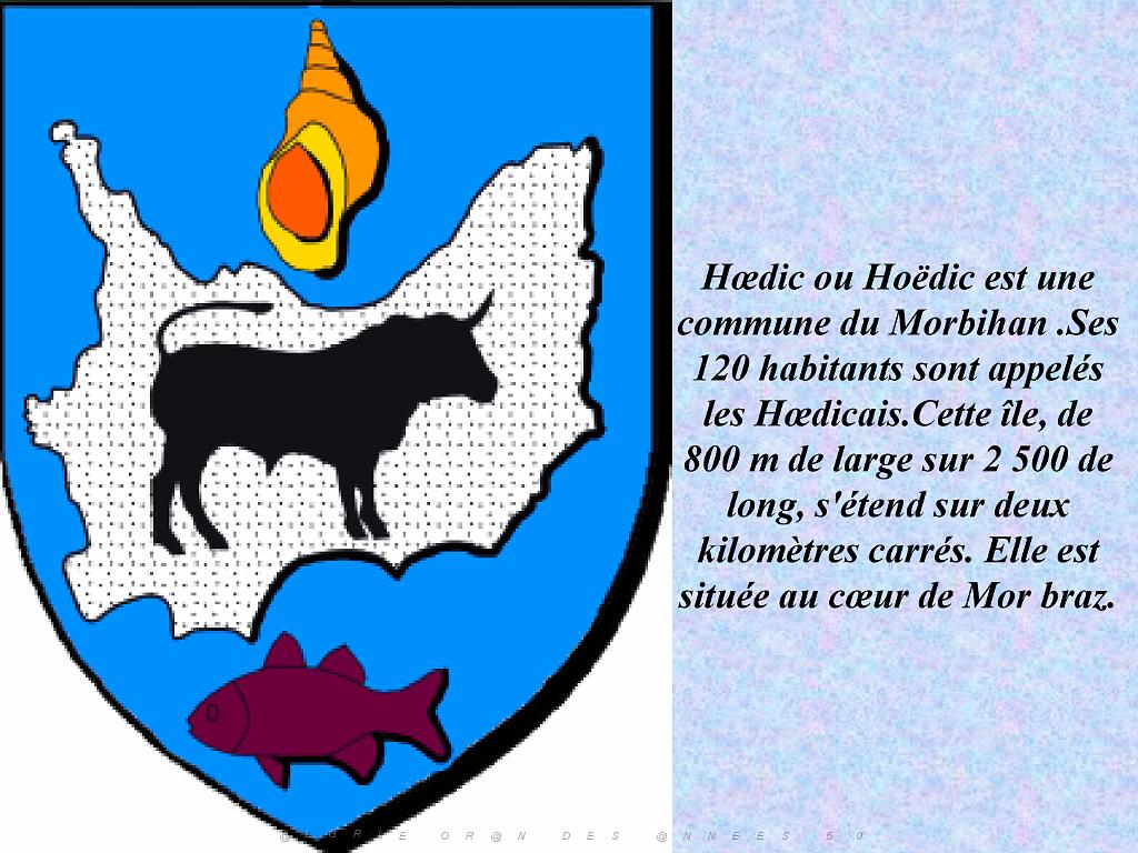 156 ILE DE HOEDIC_000003.jpg